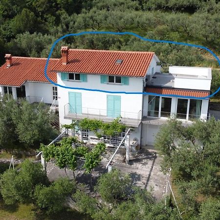 House Among Olive Trees With A Sea View 1 Apartment Ankaran Bagian luar foto