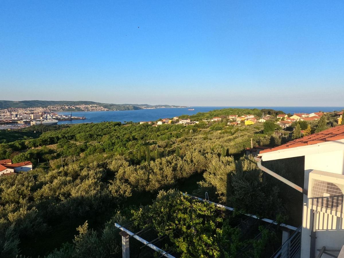 House Among Olive Trees With A Sea View 1 Apartment Ankaran Bagian luar foto