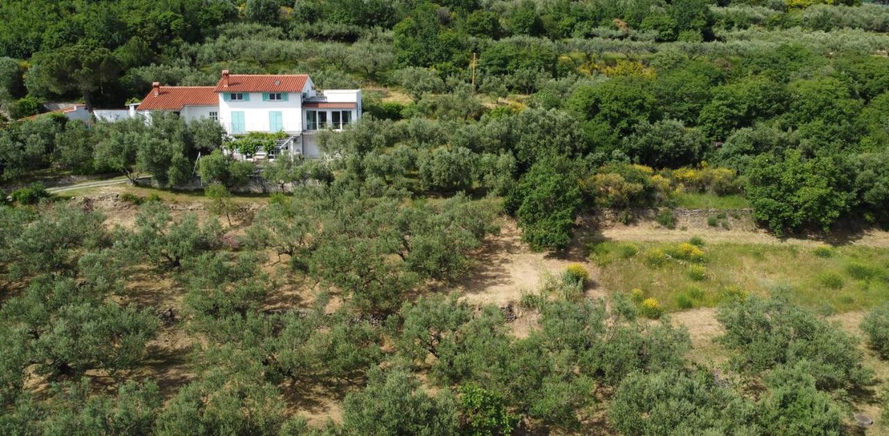 House Among Olive Trees With A Sea View 1 Apartment Ankaran Bagian luar foto