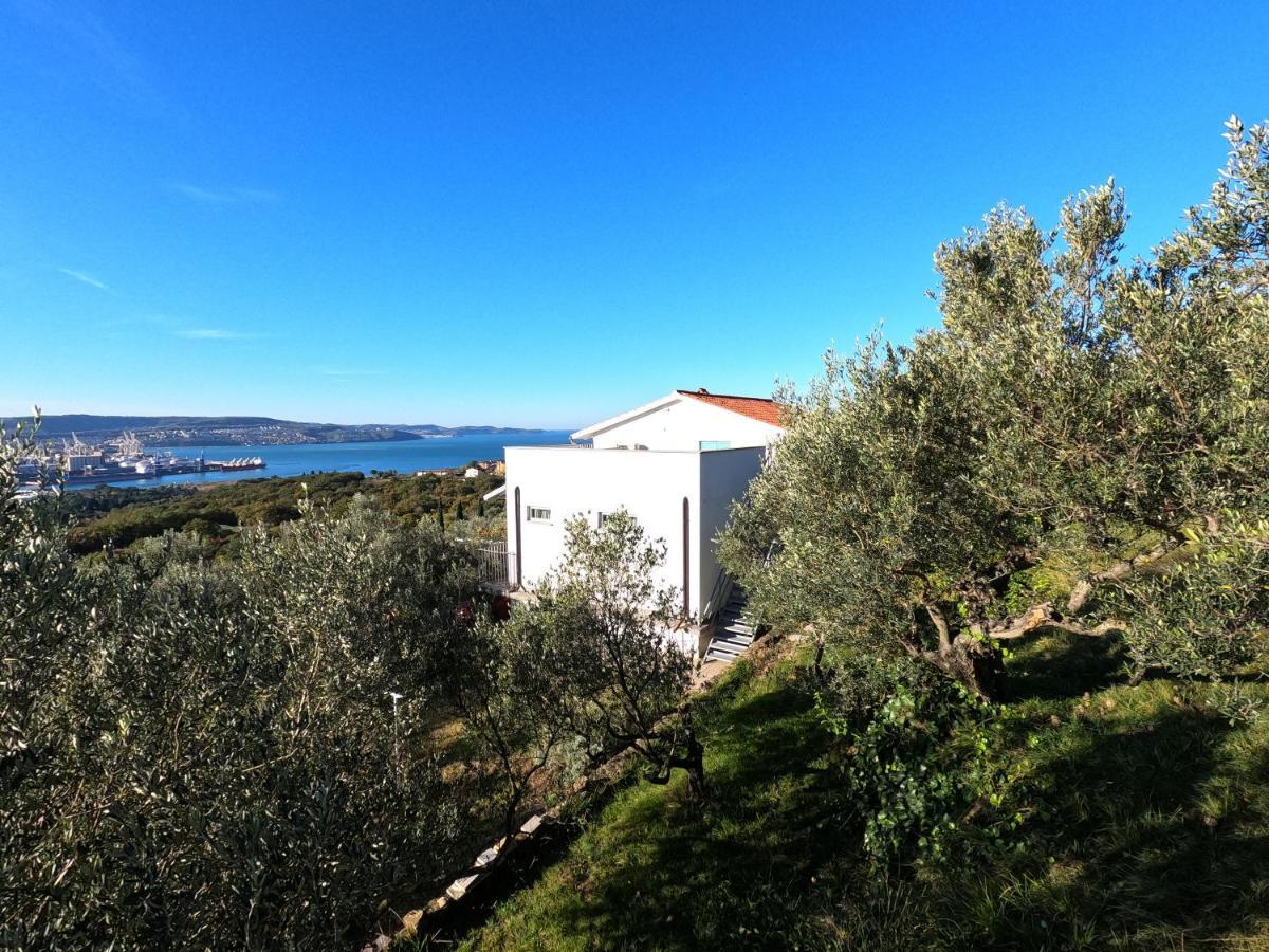 House Among Olive Trees With A Sea View 1 Apartment Ankaran Bagian luar foto